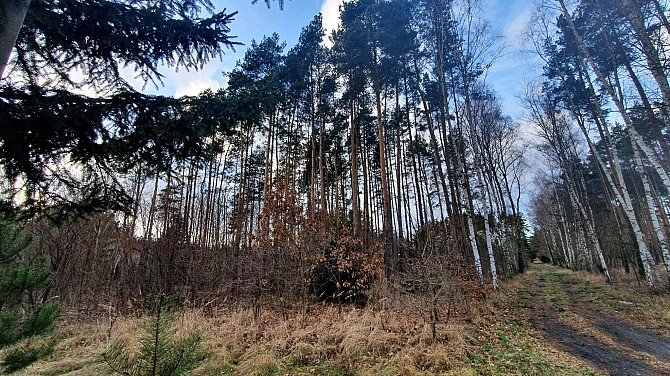 Działka budowlana Wiązowna Otwock - zdjęcie 3