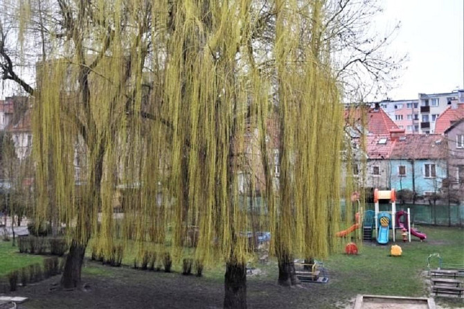 Mieszkanie, ul. Kosynierów Gdyńskich Elbląg - zdjęcie 5